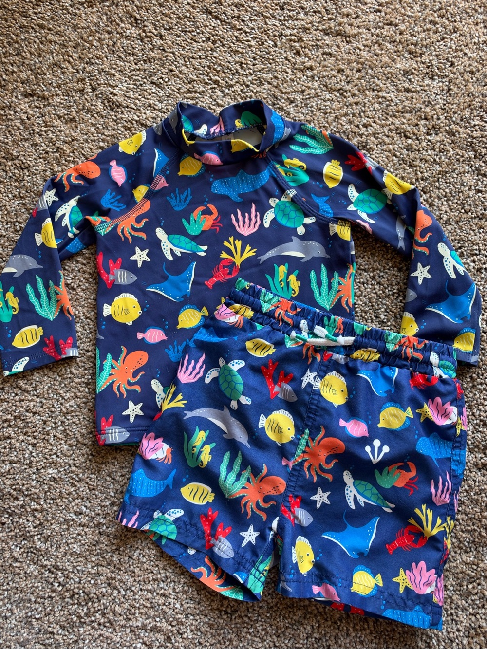 BABY BODEN Navy Sea Animal Rash Guard and Swim Trunk Set